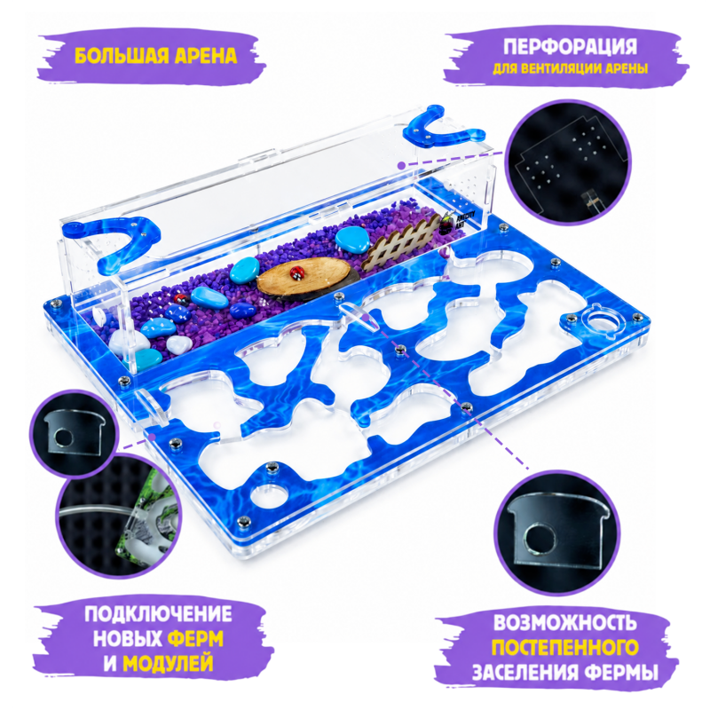 Муравьиная ферма Медиум “Аква” (ПОЛНЫЙ КОМПЛЕКТ) Муравьиная ферма Медиум “Аква” (ПОЛНЫЙ КОМПЛЕКТ)
